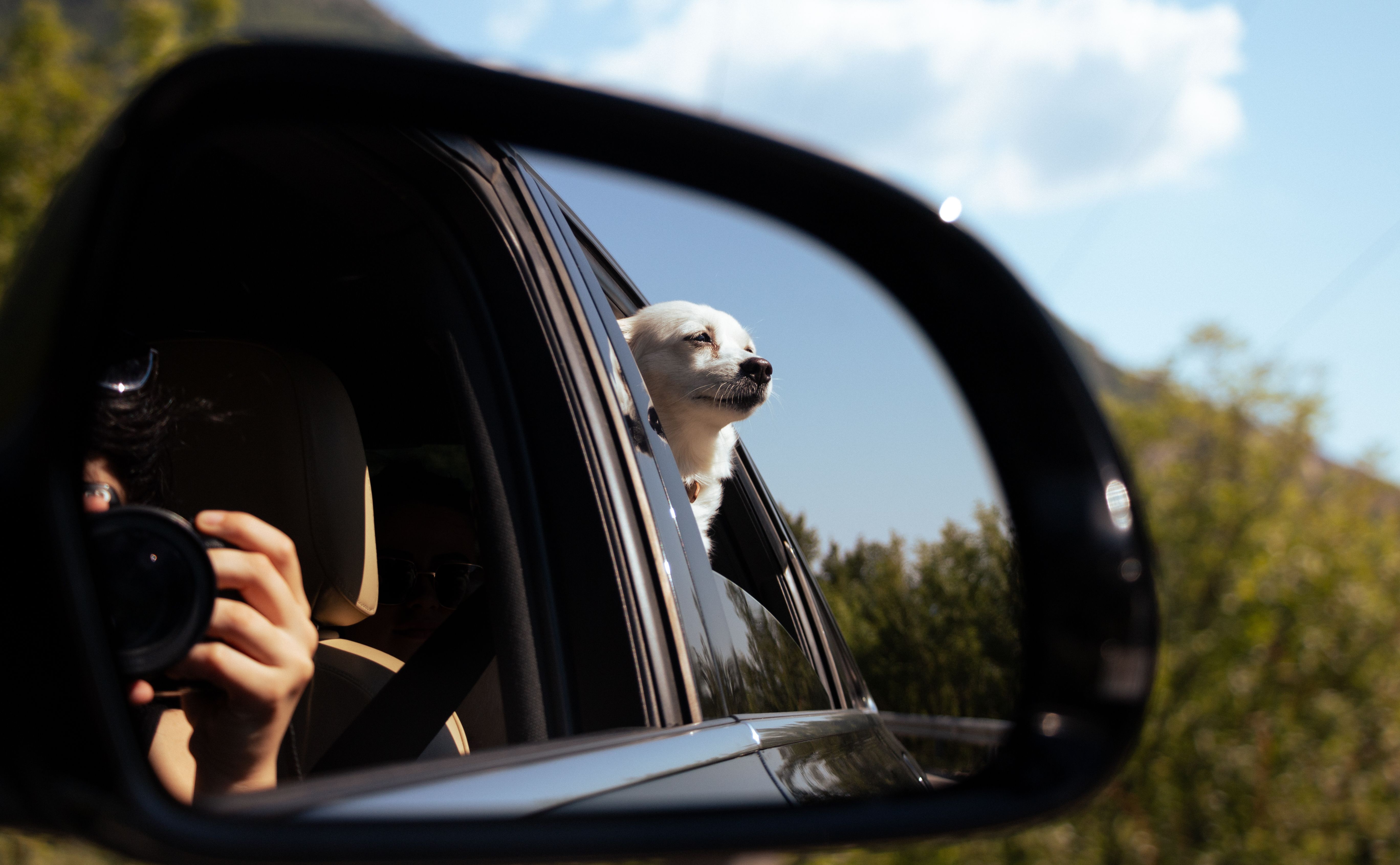 Driving in Albania: What Tourists Should Know travel guide cover for Rent Moto & Cars Albania